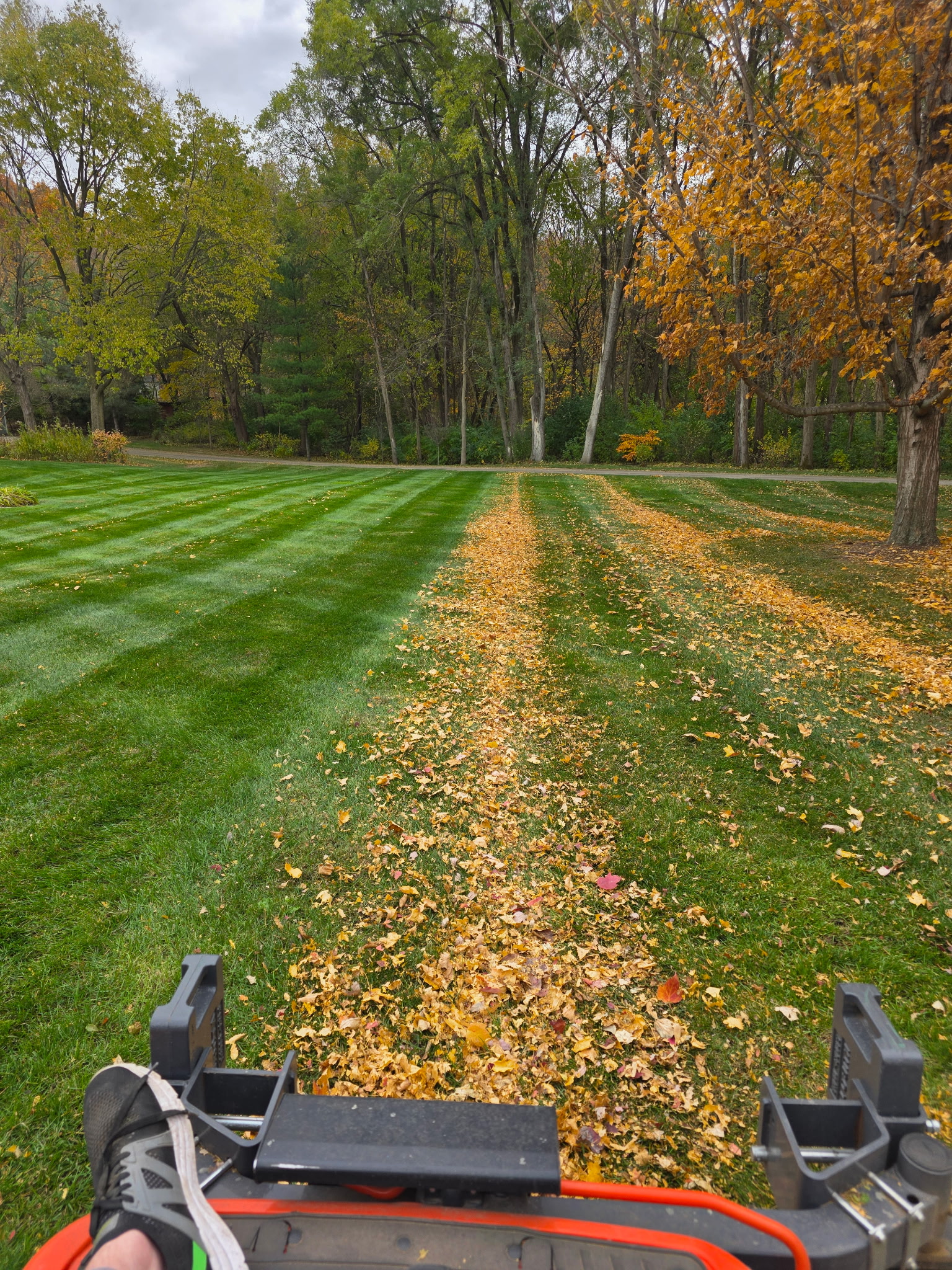 Fall leaf cleanup with mowing stripes on a Wisconsin lawn