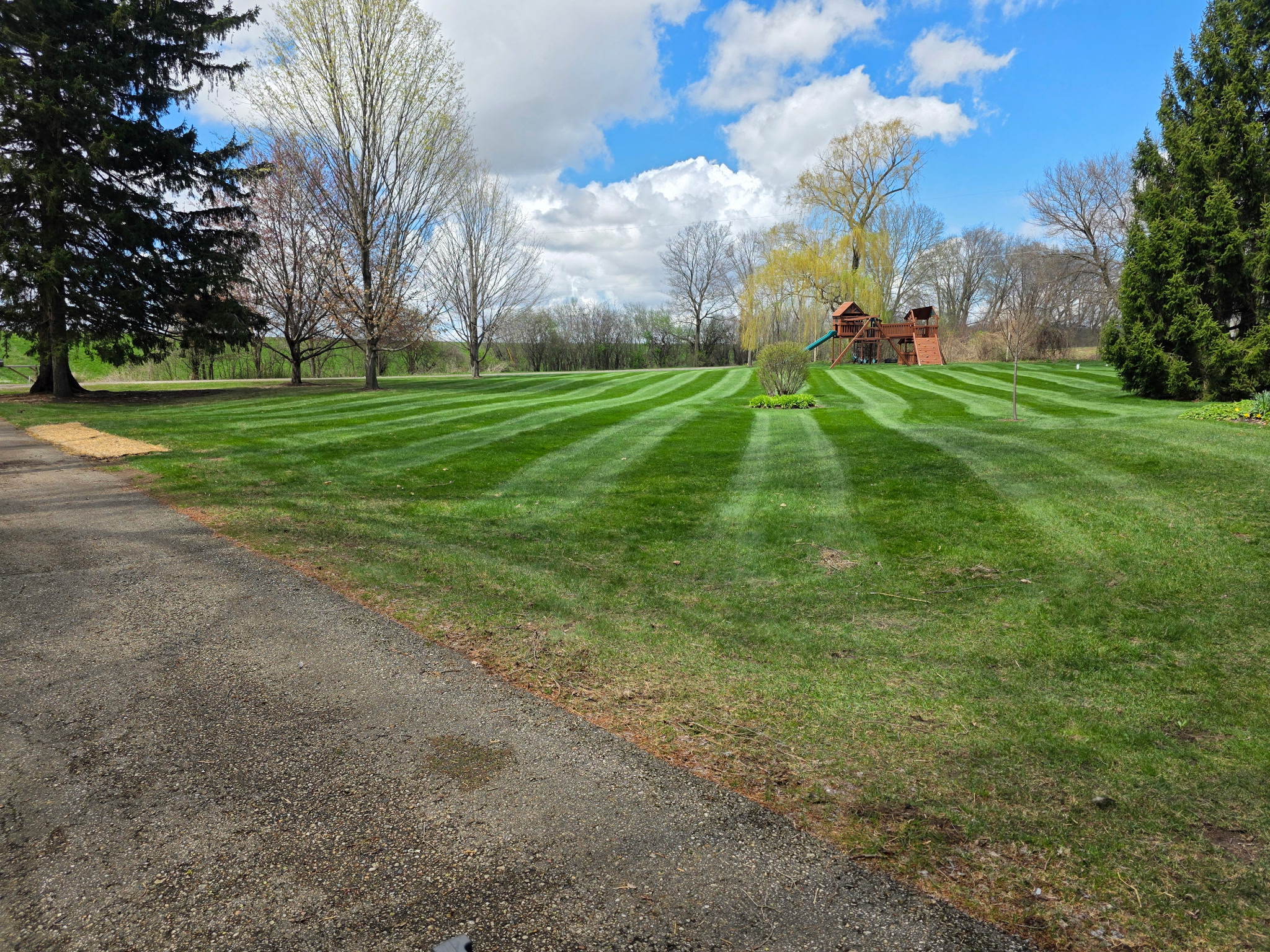 Spring lawn with sharp mowing stripes under a bright blue sky