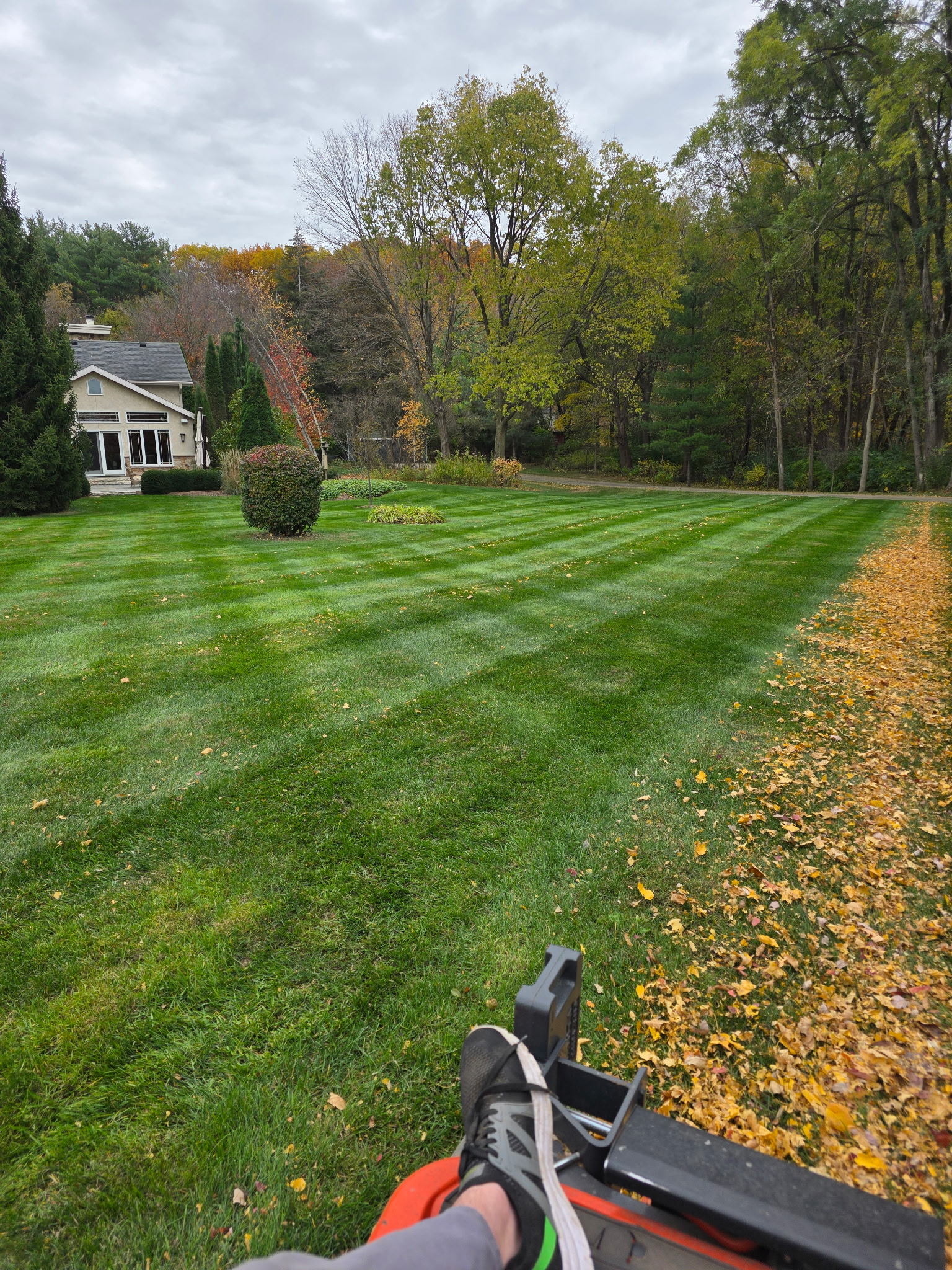 Freshly striped fall lawn with clean mowing lines in front of a Wisconsin home